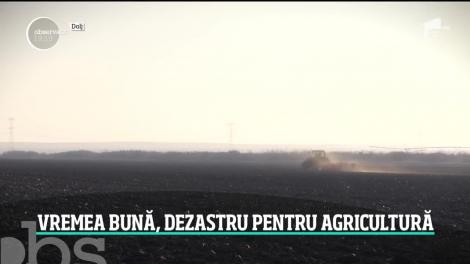 Vremea frumoasă din mijlocul iernii, dezastru pentru agricultură. Legumele şi fructele, mai scumpe chiar şi cu 20 la sută