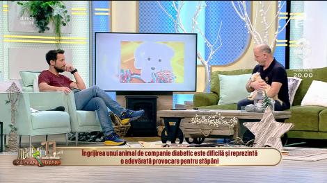 Neatza cu Răzvan și Dani. Adopția unui animal cu probleme de sănătate