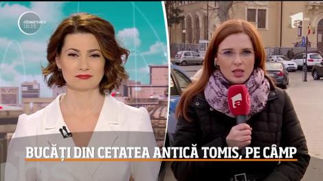 Tone de pământ pline cu piese arheologice au fost excavate din Cetatea Antică Tomis şi aruncate pe un câmp, la marginea Constanţei!