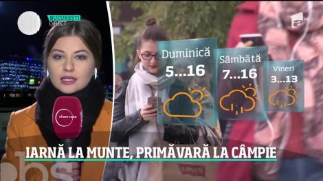 Vremea anormală bate record după record. Luna ianuarie ar putea fi declarată cea mai secetoasă din istorie!