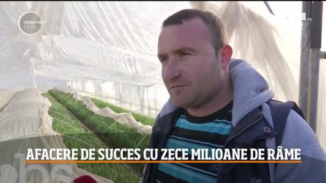 Afacere cu râme în România, un succes! Cum a ajuns un tânăr să câștige zeci de mii de euro