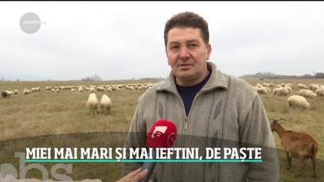 Veste bună pentru români! Carnea de miel ar putea fi mai ieftină cu 50% anul acesta, de Paște