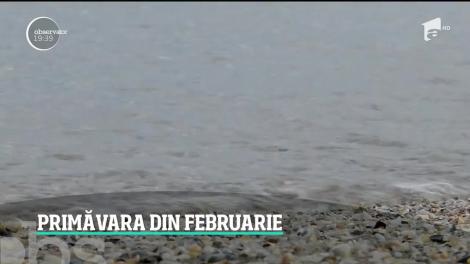 Ultima lună de iarnă începe cu vreme de primăvară!