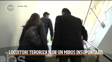 Locuitorii din Sibiu, terorizați de un miros insuportabil