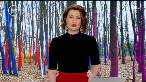Loc de poveste în România! O pădure din Gorj a fost vopsită în culorile curcubeului! VIDEO