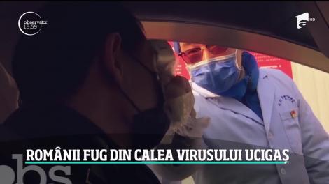 În faţa unui virus fără leac, omenirea asistă neputincioasă la o posibilă pandemie. Cinci români angajaţi în China s-au întors acasă şi au intrat direct în carantină