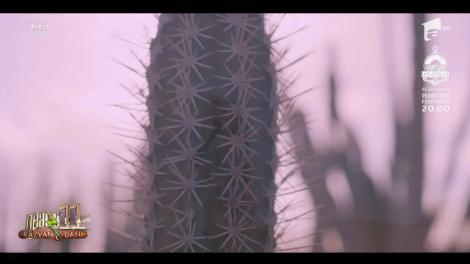 Cel mai nou videoclip semnat Anna Lesko - "Bine am revenit"