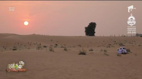 Cum te poţi distra în vacanţă la Dubai