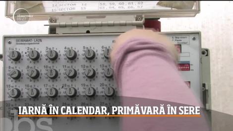 Iarna în calendar, primăvara în sere. Producătorii de flori abia mai fac faţă comenzilor