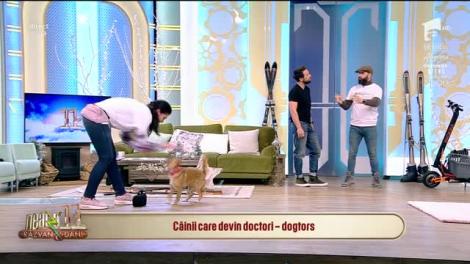 Neatza cu Răzvan și Dani. Câinii care devin doctori - dogtors