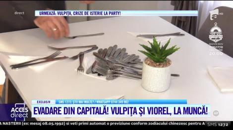 Evadare din Capitală! Vulpiţa şi Viorel, la muncă! Unde au întâmpinat cele multe probleme
