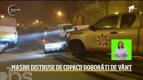 Capitala, sub cod portocaliu de ninsoare şi viscol