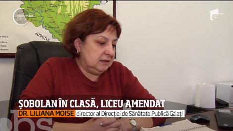 Un şobolan şi-a făcut apariţia într-o sală de clasă din Galați! Rozătoarea a băgat spaimă în elevii de liceu și le-a perturbat liniștea
