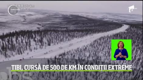 Tibi Uşeriu a obținut locul 2 la Yukon Arctic, după ce a mers 500 km în condiții extreme