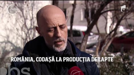România, codașă la producția de lapte