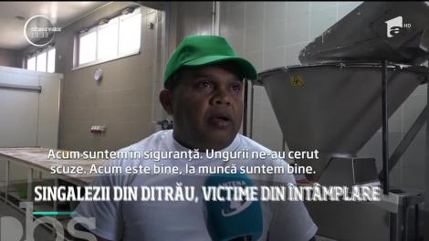 Muncitorii singalezi de la Ditrău rămân în centrul atenţiei. Avocatul Poporului a făcut propria anchetă la faţa locului