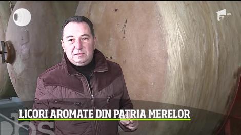 Într-o localitate din Mureş s e culeg cele mai gustoase mere şi se face cel mai bun cidru din ţară! Licoarea aromată este bună şi pentru sănătate
