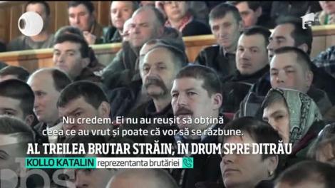Un alt muncitor din Sri Lanka a venit la Ditrău, dar cu planuri mari! Ce pune la cale tânărul: „Nu mi-e frică”