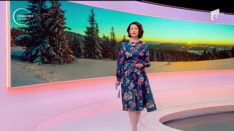 Animale sălbatice, filmate în Munţii Apuseni