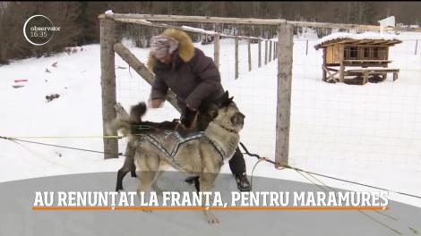 Un cuplu de francezi, îndrăgostiţi de Maramureş, s-au mutat definitv la poalele Munţilor Gutâi