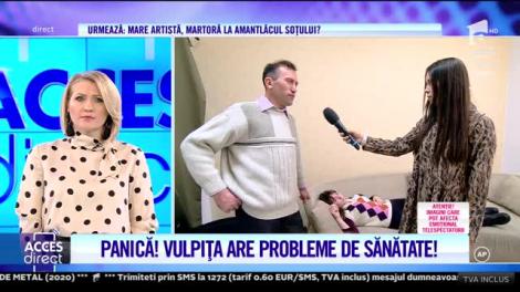 Vulpița, la un pas de leșin! A venit ambulanță!