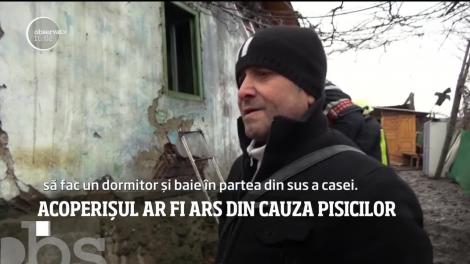 A rămas fără acoperiş deasupra capului, după ce o pisica ar fi organizat o petrecere în podul casei!