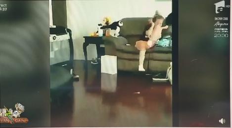 Smiley News - Neatza cu Răzvan și Dani. Papagalul care își face selfie, pisica bătăușă și pasărea care imită alarma de mașină