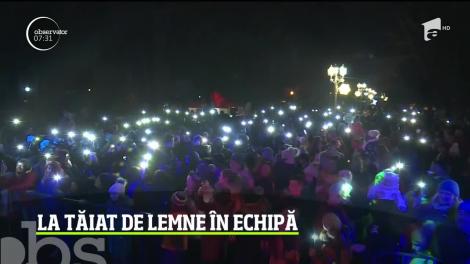 Competiţie inedită de taiat lemne cu joagărul