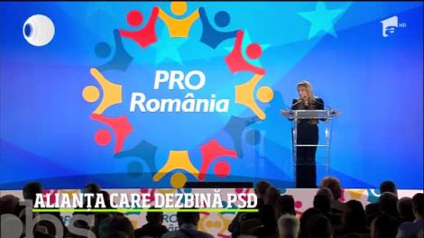 Alianța care dezbină PSD