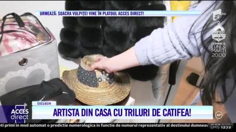 Alis Făiniţă, privighetoarea din inima Moldovei, mărturisiri emoționante: ”E cea mai dragă amintire a mea!”