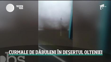 Când vom avea smochine de Dobrogea şi kiwi de Teleorman. România ar putea fi lovită de temperaturi de 50 de grade Celsius 