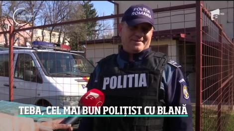Cățelușa Teba, cel mai bun polițist cu blană