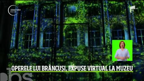 Operele lui Constantin Brâncuși, expuse virtual la muzeu