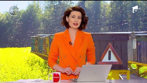 Mierea de rapiţă, leacul din stup. Cum vă poate ajuta să vă simţiţi mai bine