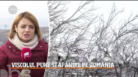 Viscolul pune stăpânire pe România. Care sunt cele mai afectate zone