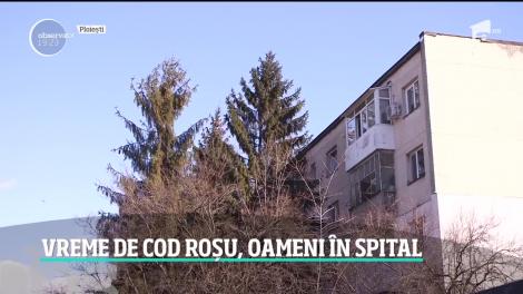 Codul roșu, ravagii în România! Vântul a avut puterea unui uragan! Imagini cumplite din țară! Video