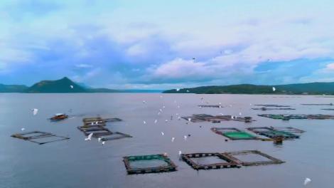 Concurenţii din „Asia Express”, sezonul 3, disperați! Ce au trebuit să vândă. „Vai, cât de penibil! Oroare!". Video