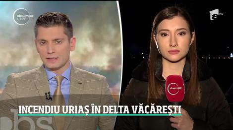 Incendiu devastator în Delta Văcăreşti, parcul natural din sudul Bucureştiului!