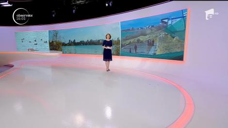 Petiție pentru salvarea ecosistemului de pe lacul Siutghiol