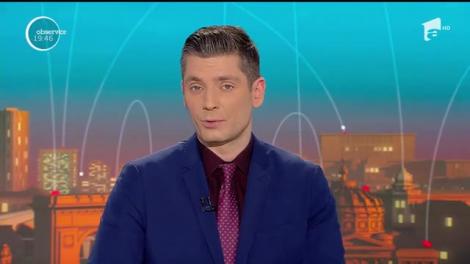 Trei babuini au creat haos în traficul din Sydney