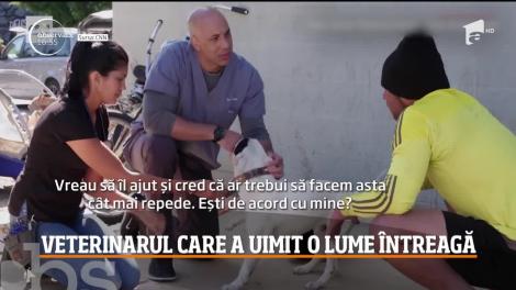 Un veterinar american şi-a făcut o misiune din a îngriji animalele deţinute de persoanele fără adăpost