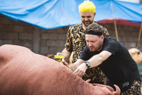 Asia Express. Alexandru Abagiu a mâncat ouă clocite: Este groaznic, oribil, zici că e fermentat!