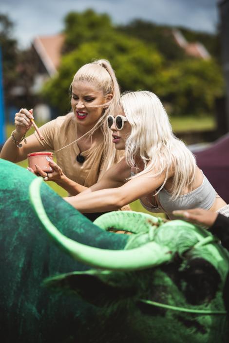 Carmen Grebenișan, la un pas de o criză nervoasă: Mă încadrez în peisajul boului!