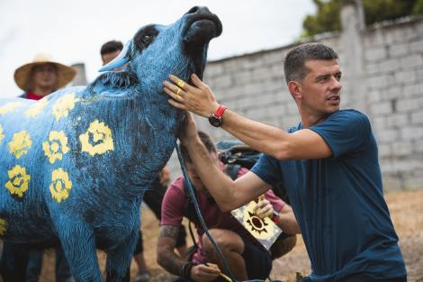 Proba colorată la Asia Express. Vedetele au pictat și antrenat un bivol: Poate ne ia ăsta pe sus, pe coarne!