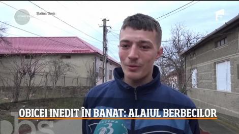 Alaiul Berbecilor, obicei inedit din Banat