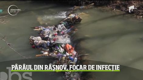 Scandal la Râșnov, unde locuitorii își aruncă gunoaiele în pârâul care traversează orașul: ”E sub orice critică!” Ce spun autoritățile