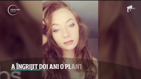 O femeie din California a udat timp de doi ani o plantă, până când a realizat că, de fapt, era artificială