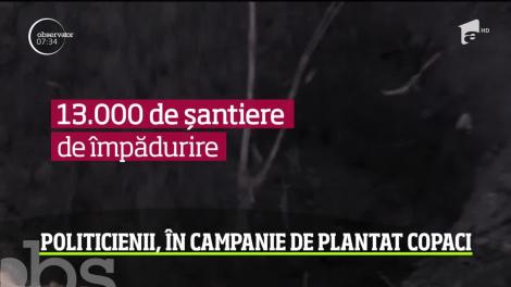 Nu mai este un secret că România are o problemă cu defrişările masive. Autorităţile au început o campanie de împădurire