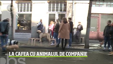 Iniţiativă inedită într-un local din Târgu Mureş! Peste o sută de iubitori de animale au băut cafeaua alături de prietenii lor patrupezi