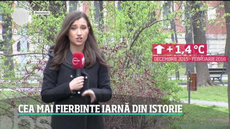 România a avut cea mai scurtă şi călduroasă iarnă din istorie. Vremea bate record după record!
